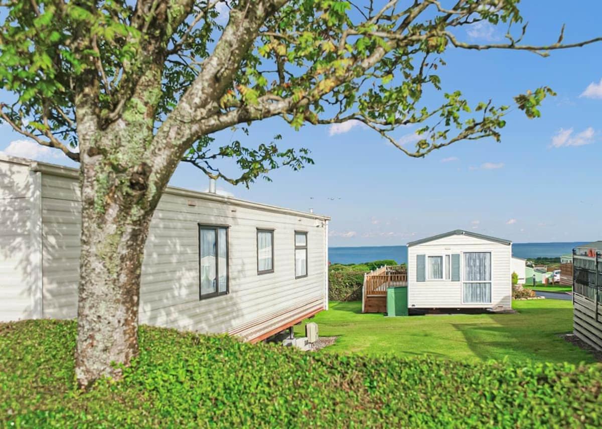 Ocean Heights Holiday Park New Quay  Exterior foto